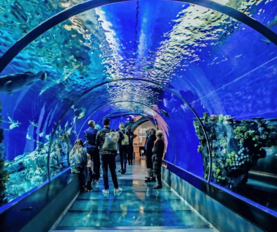 Hurghada Grand Aquarium